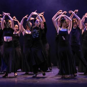 Fotografía de Talleres Baile Flamenco (galería 2) - Conservatorio de Danza